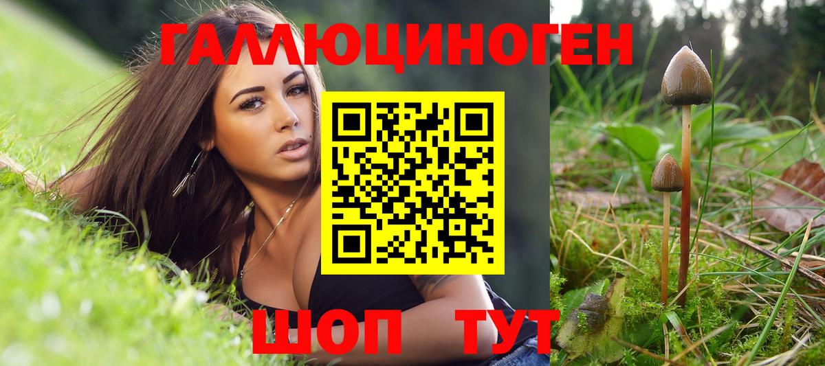 Псилоцибиновые грибы GOLDEN TEACHER Баксан