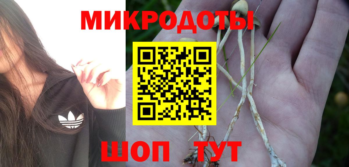Баксан  Псилоцибиновые грибы ЛСД  Вход с VPN 